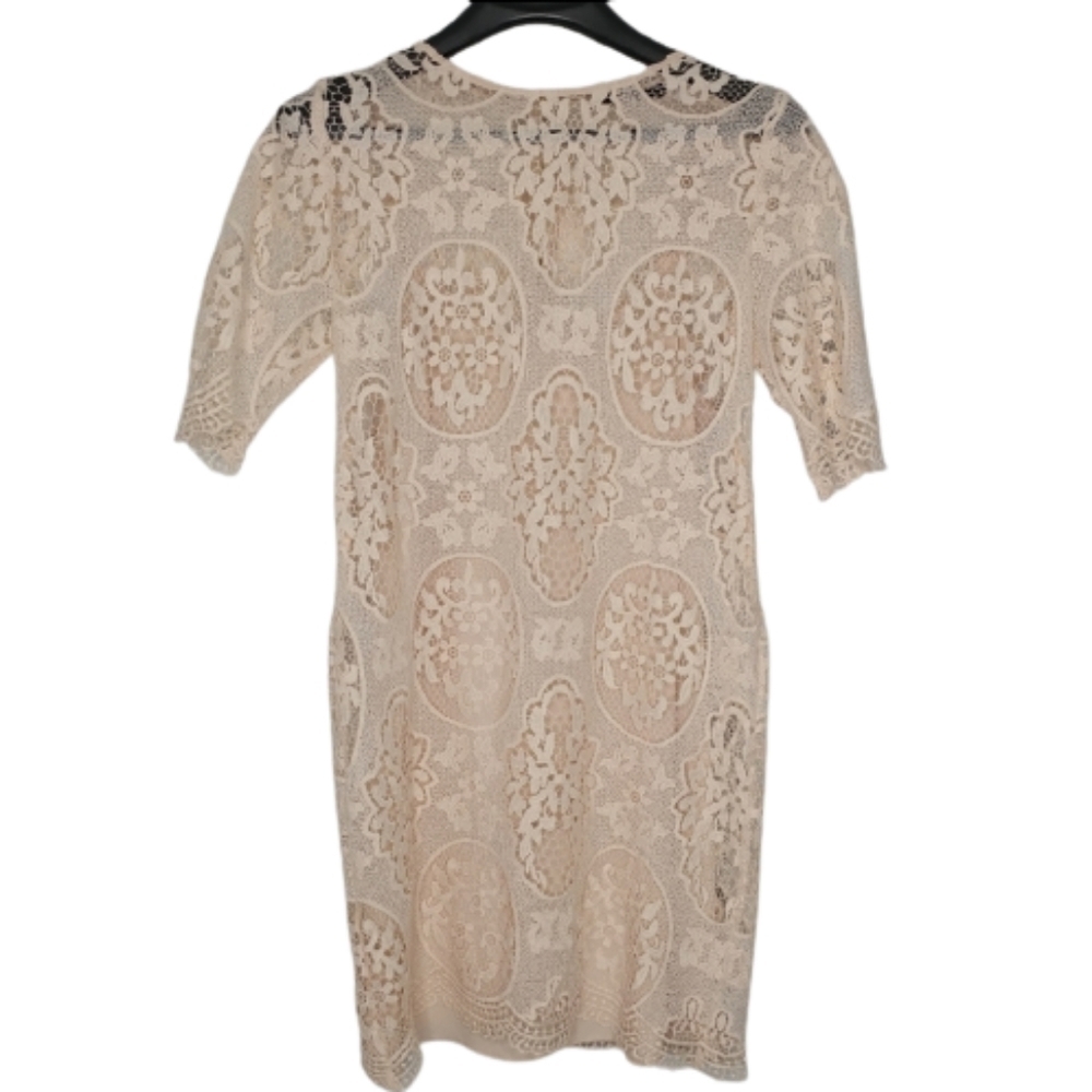 Zara Nude Pink Lace Dress - Picture 5 of 14